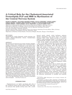 A critical role for the cholesterol-associated
