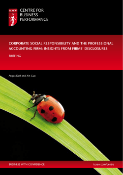 corporate social responsibility and the professional