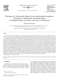 Phylogeny of Arthropoda inferred from mitochondrial