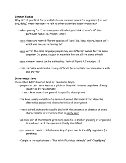 Common Names to Obj 10 File