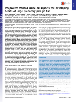 Full Text - Tuna Research and Conservation Center