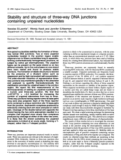 Stability and structure of three-way DNA junctions