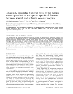 this PDF file - Co-Action Publishing JOURNALS