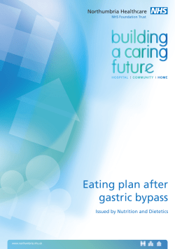 Eating plan after gastric bypass
