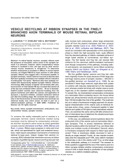 FULL PDF - University of Pennsylvania