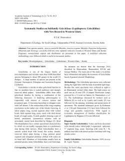 Systematic Studies on Subfamily Gelechiinae