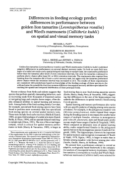 Differences in feeding ecology predict differences