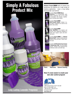 Purple CRUSH