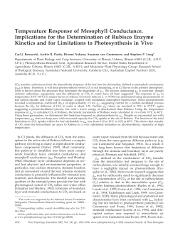 Temperature Response of Mesophyll Conductance - LI