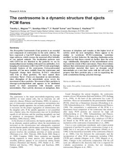 Centrosome flares - Journal of Cell Science