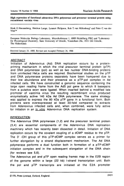 High expression of functional adenovirus DNA polymerase and