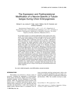 The expression and posttranslational modification of a neuron