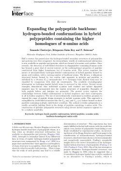 Expanding the polypeptide backbone: hydrogen
