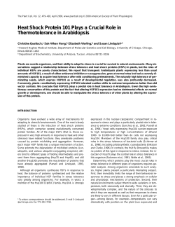 Heat Shock Protein 101 Plays a Crucial Role in