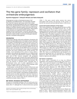 The Hes gene family: repressors and oscillators that
