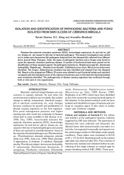 isolation and identification of pathogenic bacteria