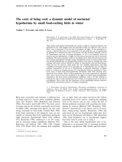 The costs of being cool: a dynamic model of nocturnal hypothermia