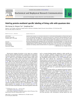 HaloTag protein-mediated specific labeling of living cells with