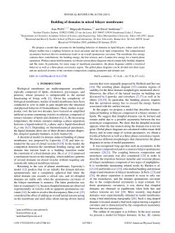 Budding of domains in mixed bilayer membranes