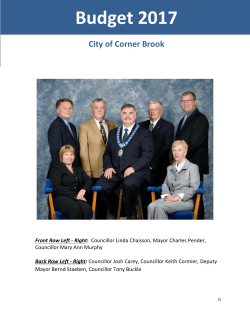 Budget 2017 - City of Corner Brook