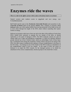 143.Enzymes Ride the Waves