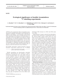 Ecological significance of benthic foraminifera: 13C labelling