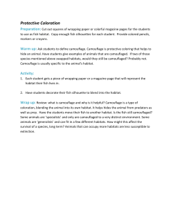 Protective Coloration