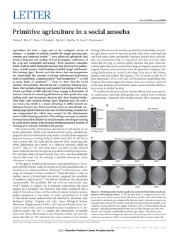 Primitive agriculture in a social amoeba