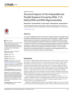 Structural Aspects of the Antiparallel and Parallel Duplexes Formed