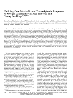 Defining Core Metabolic and Transcriptomic Responses to Oxygen