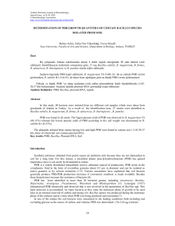 24 DETERMINATION OF PHB GROWTH QUANTITIES OF CERTAIN