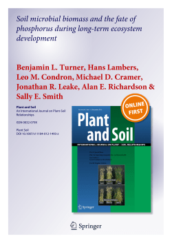 Soil microbial biomass and the fate of phosphorus during long