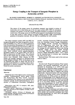 Energy Coupling to the Transport ofInorganic Phosphate in
