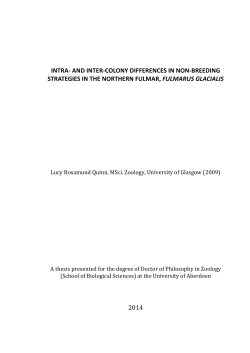 intra- and inter-colony differences in non