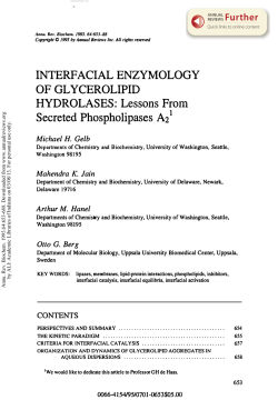 Interfacial Enzymology of Glycerolipid Hydrolases: Lessons from