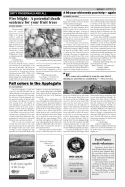 Fire blight: A potential death sentence for your fruit trees Fall colors