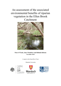 An assessment of the associated environmental benefits of riparian