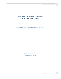 Designation Statement and Report