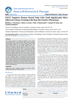 CD271 Negative Human Dental Pulp Cells Yield Significantly More