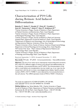 Characterization of P19 Cells during Retinoic Acid Induced