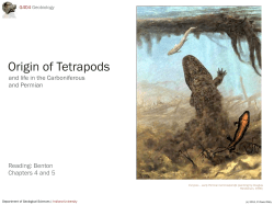 Origin of Tetrapods - Indiana University Bloomington