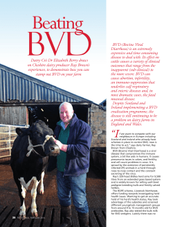 BVD BVD (Bovine Viral Diarrhoea) is an extremely