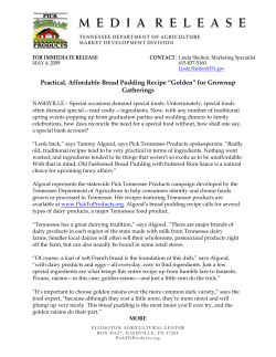 Practical, Affordable Bread Pudding Recipe &ldquo;Golden&rdquo;