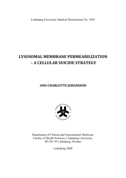 LYSOSOMAL MEMBRANE PERMEABILIZATION &ndash; A CELLULAR