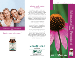 Echinacea Premium - Your Daily Immune