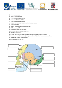 1. How many carpals ? 2. How many vertebrae ? 3. How many