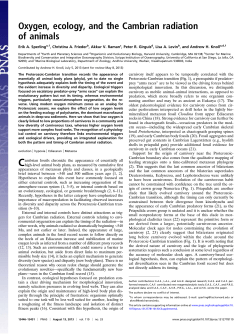 Oxygen, ecology, and the Cambrian radiation of animals