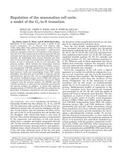 Regulation of the mammalian cell cycle: a model of the G1-to