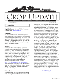 Issue 6, May 3, 2002