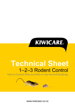 Technical Sheet